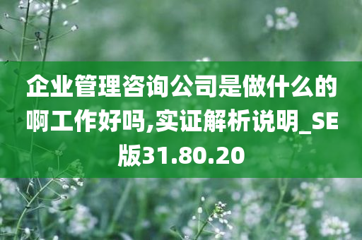 企业管理咨询公司是做什么的啊工作好吗,实证解析说明_SE版31.80.20