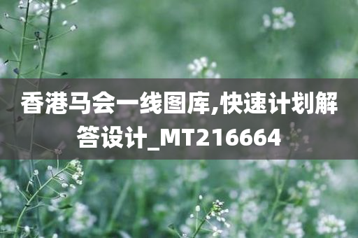 香港马会一线图库,快速计划解答设计_MT216664