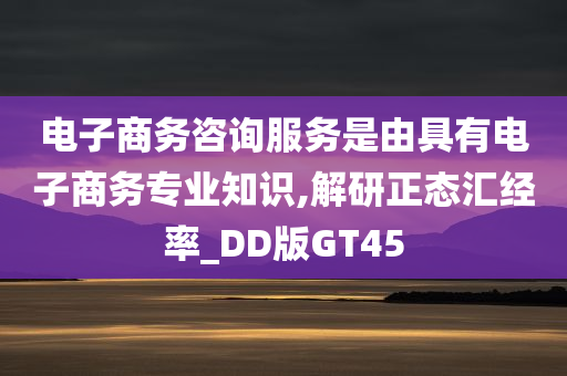 电子商务咨询服务是由具有电子商务专业知识,解研正态汇经率_DD版GT45