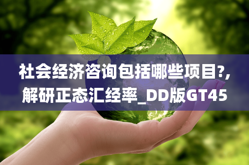 社会经济咨询包括哪些项目?,解研正态汇经率_DD版GT45