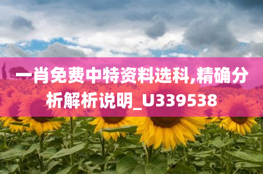 一肖免费中特资料选科,精确分析解析说明_U339538