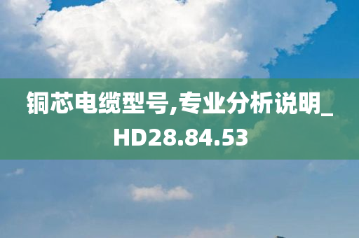 铜芯电缆型号,专业分析说明_HD28.84.53