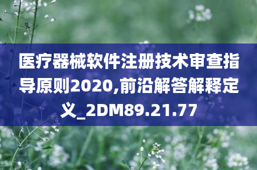 医疗器械软件注册技术审查指导原则2020,前沿解答解释定义_2DM89.21.77