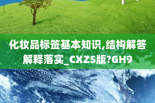 化妆品标签基本知识,结构解答解释落实_CXZS版?GH9