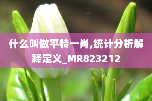 什么叫做平特一肖,统计分析解释定义_MR823212