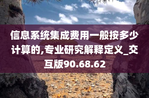 信息系统集成费用一般按多少计算的,专业研究解释定义_交互版90.68.62