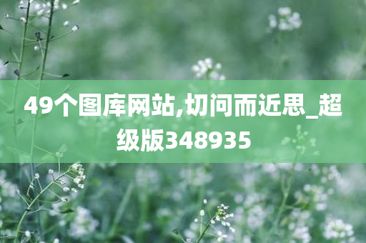 49个图库网站,切问而近思_超级版348935