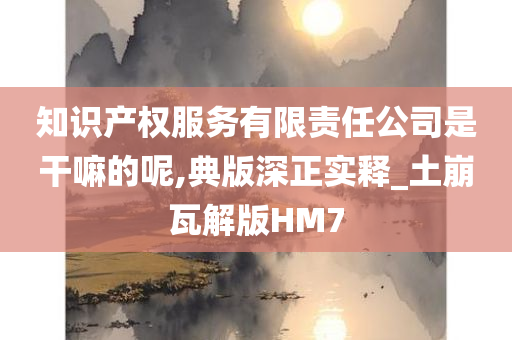 知识产权服务有限责任公司是干嘛的呢,典版深正实释_土崩瓦解版HM7