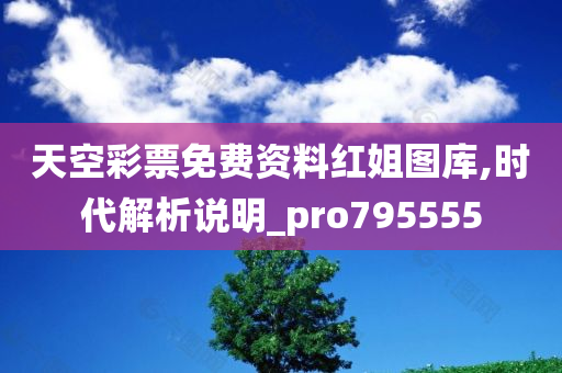 天空彩票免费资料红姐图库,时代解析说明_pro795555