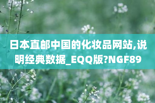 日本直邮中国的化妆品网站,说明经典数据_EQQ版?NGF89