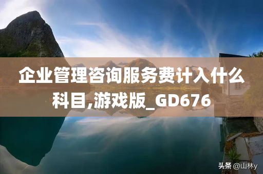 企业管理咨询服务费计入什么科目,游戏版_GD676