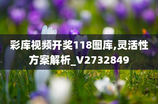 彩库视频开奖118图库,灵活性方案解析_V2732849