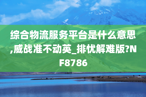 综合物流服务平台是什么意思,威战准不动英_排忧解难版?NF8786