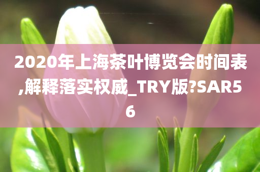 2020年上海茶叶博览会时间表,解释落实权威_TRY版?SAR56