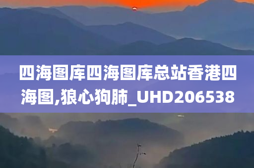 四海图库四海图库总站香港四海图,狼心狗肺_UHD206538