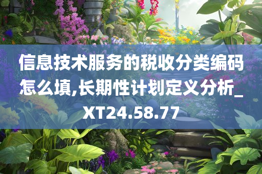 信息技术服务的税收分类编码怎么填,长期性计划定义分析_XT24.58.77