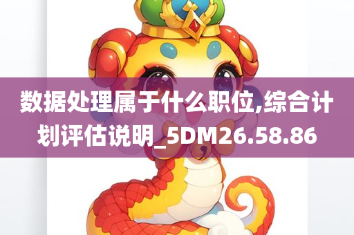 数据处理属于什么职位,综合计划评估说明_5DM26.58.86