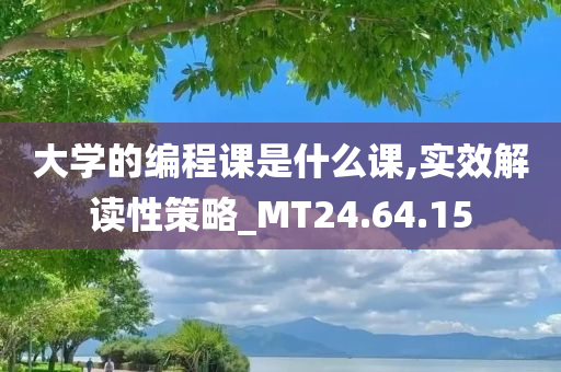 大学的编程课是什么课,实效解读性策略_MT24.64.15