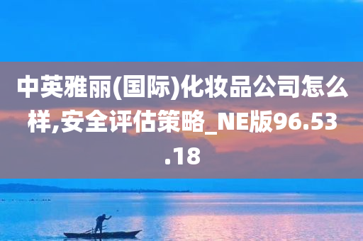 中英雅丽(国际)化妆品公司怎么样,安全评估策略_NE版96.53.18