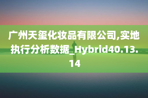 广州天玺化妆品有限公司,实地执行分析数据_Hybrid40.13.14