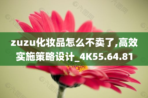 zuzu化妆品怎么不卖了,高效实施策略设计_4K55.64.81