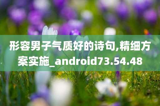 形容男子气质好的诗句,精细方案实施_android73.54.48