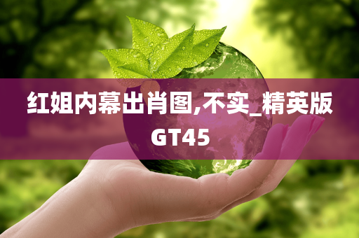 红姐内幕出肖图,不实_精英版GT45