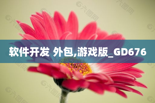 软件开发 外包,游戏版_GD676