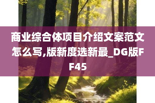 商业综合体项目介绍文案范文怎么写,版新度选新最_DG版FF45