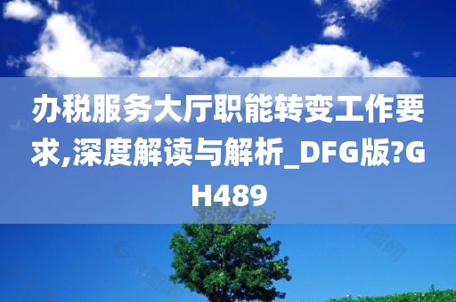 办税服务大厅职能转变工作要求,深度解读与解析_DFG版?GH489