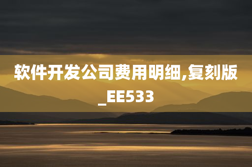 软件开发公司费用明细,复刻版_EE533