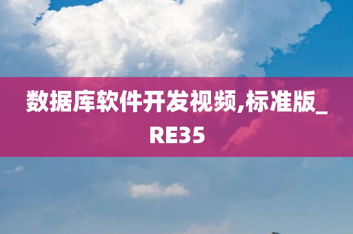 数据库软件开发视频,标准版_RE35