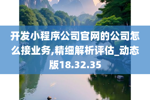 开发小程序公司官网的公司怎么接业务,精细解析评估_动态版18.32.35