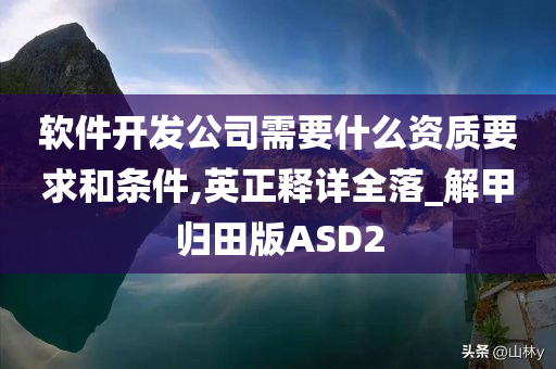 软件开发公司需要什么资质要求和条件,英正释详全落_解甲归田版ASD2