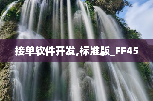 接单软件开发,标准版_FF45