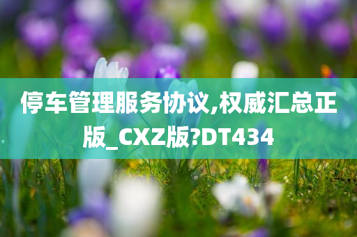 停车管理服务协议,权威汇总正版_CXZ版?DT434