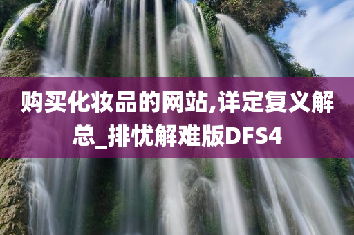 购买化妆品的网站,详定复义解总_排忧解难版DFS4