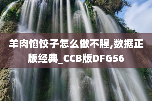 羊肉馅饺子怎么做不腥,数据正版经典_CCB版DFG56