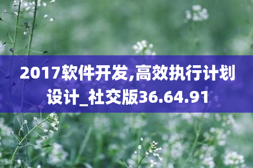 2017软件开发,高效执行计划设计_社交版36.64.91