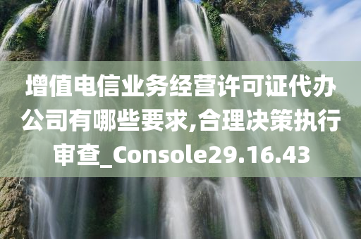 增值电信业务经营许可证代办公司有哪些要求,合理决策执行审查_Console29.16.43