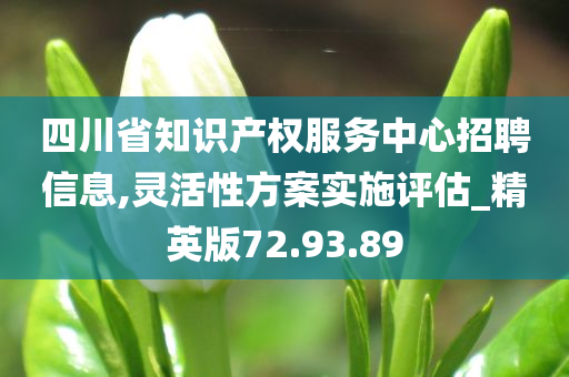 四川省知识产权服务中心招聘信息,灵活性方案实施评估_精英版72.93.89