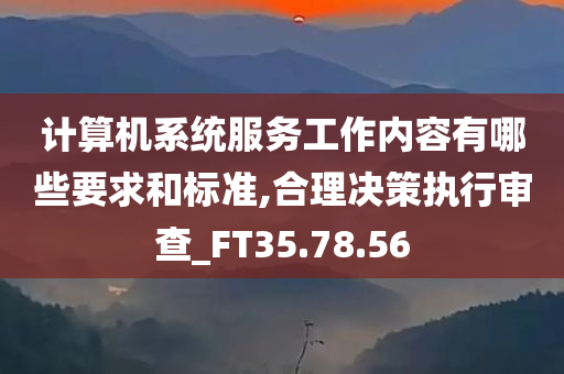 计算机系统服务工作内容有哪些要求和标准,合理决策执行审查_FT35.78.56