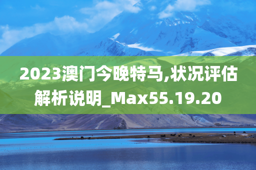 2023澳门今晚特马,状况评估解析说明_Max55.19.20