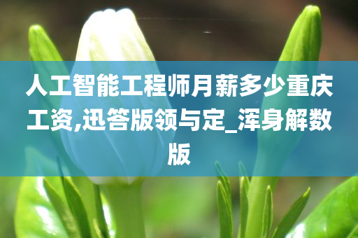 人工智能工程师月薪多少重庆工资,迅答版领与定_浑身解数版