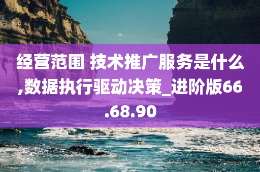 经营范围 技术推广服务是什么,数据执行驱动决策_进阶版66.68.90