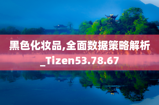 黑色化妆品,全面数据策略解析_Tizen53.78.67