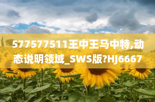 577577511王中王马中特,动态说明领域_SWS版?HJ6667