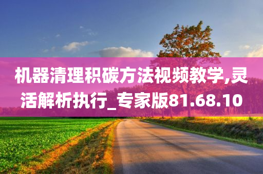 机器清理积碳方法视频教学,灵活解析执行_专家版81.68.10