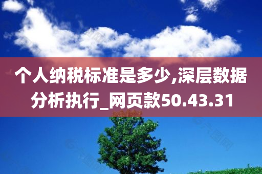 个人纳税标准是多少,深层数据分析执行_网页款50.43.31