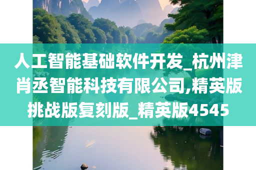 人工智能基础软件开发_杭州津肖丞智能科技有限公司,精英版挑战版复刻版_精英版4545